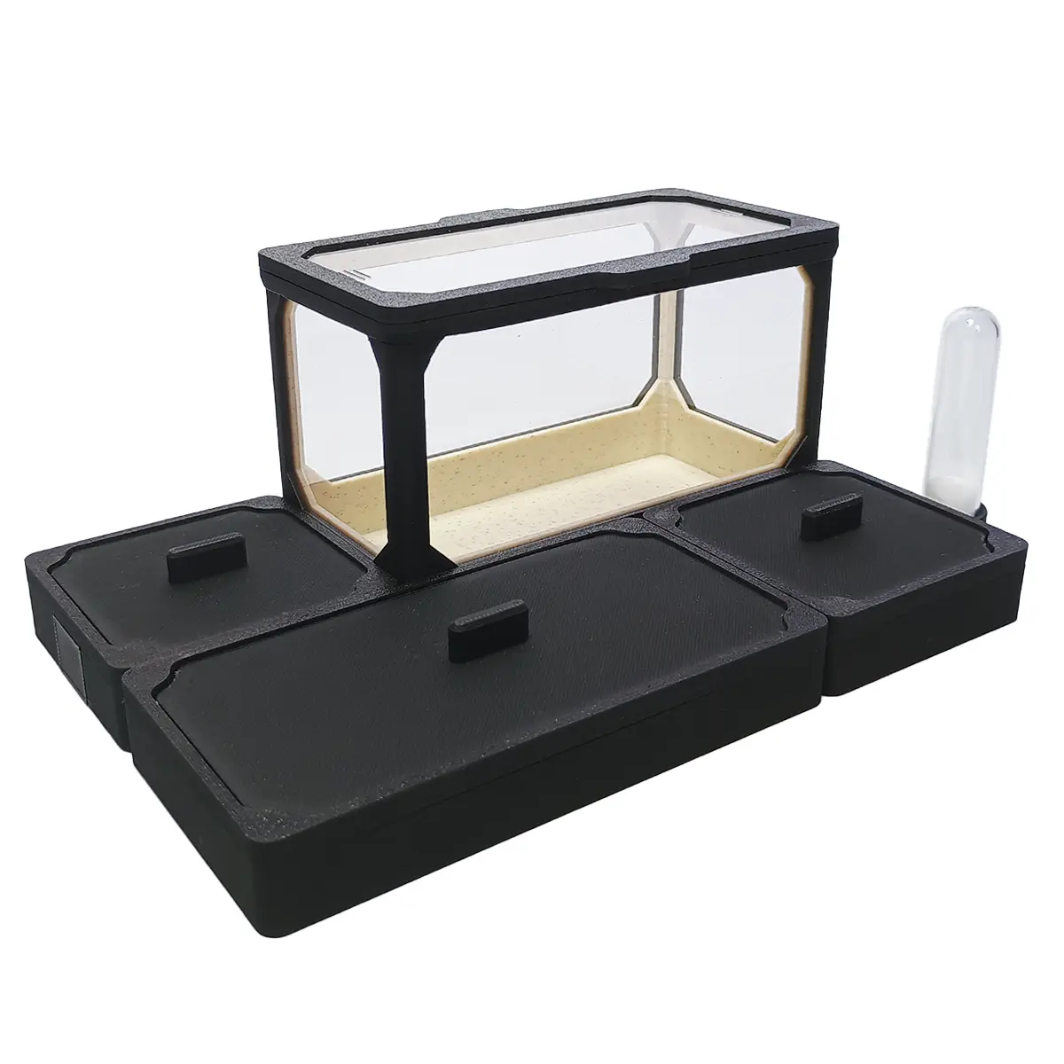 AVERAGE_L_B-S_02 Formikarium AVERAGE L