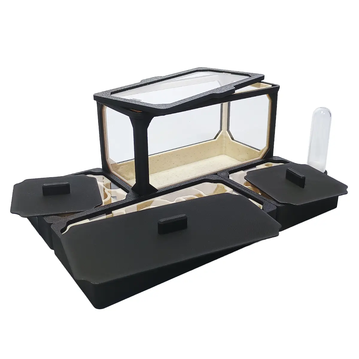 AVERAGE_L_B-S_03 Formikarium AVERAGE L