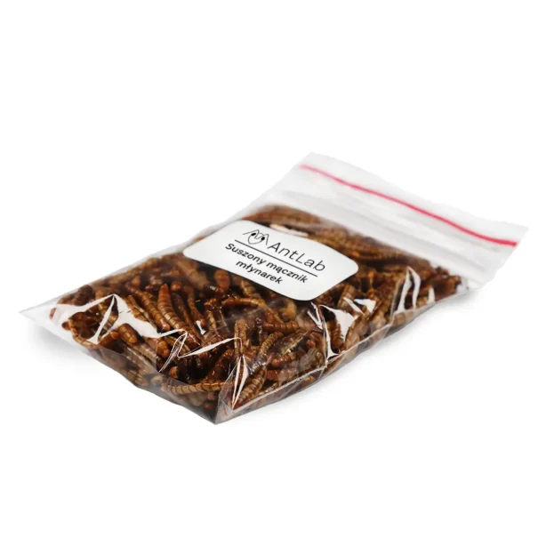 Sušený moučný červ – 50 ml