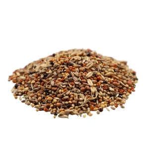 Ziarna dla Messor Barbarus