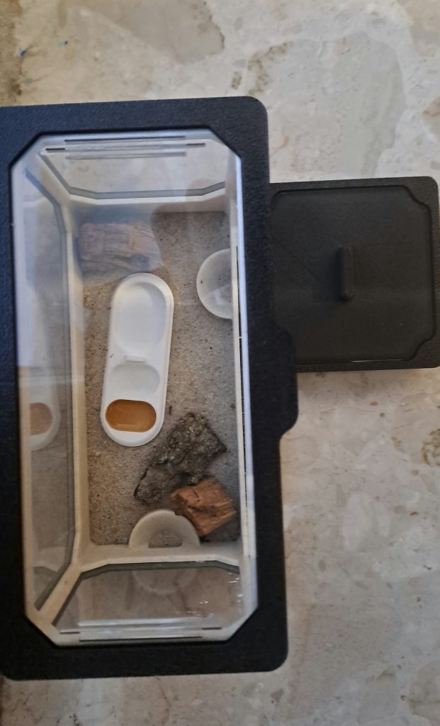 Obrázek #1 od Kacper