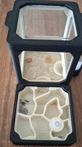 Image #1 de MARIUSZ Ł.