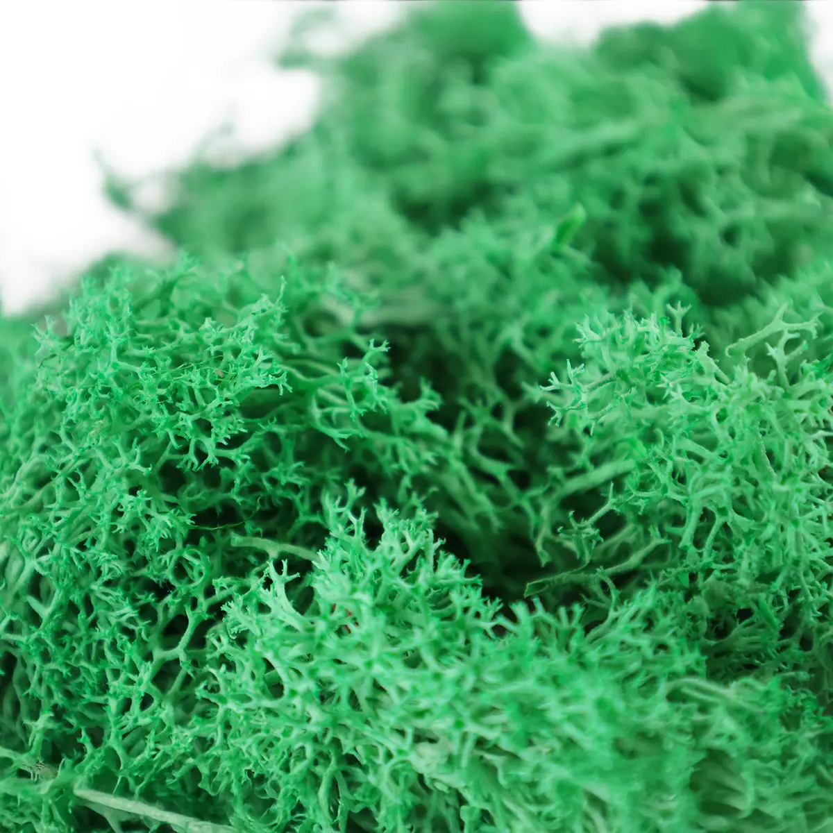 mossgreen_02 Mech Zielony Dekoracyjny