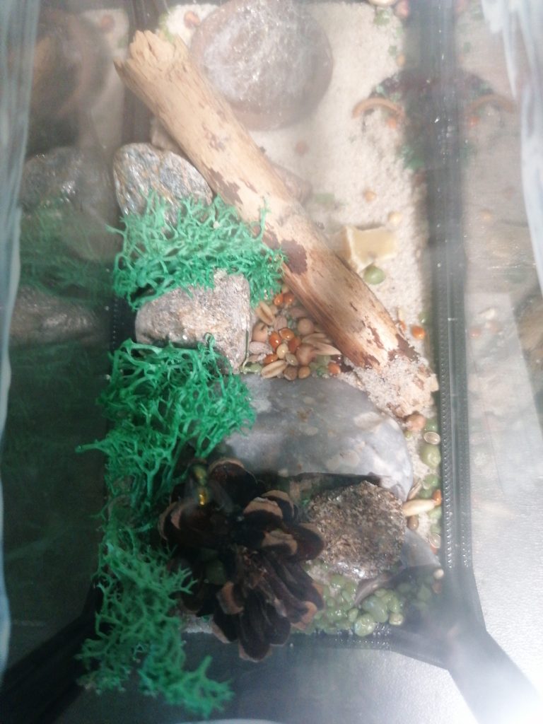 Obrázek #1 od Oktawian J.