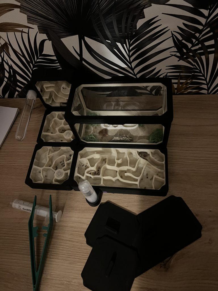 Obrázek #2 od Marzena Szlas