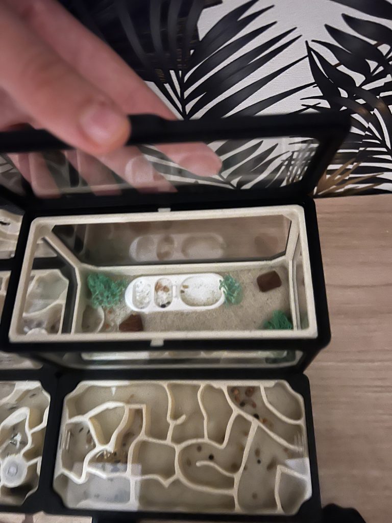 Obrázek #1 od Marzena Szlas