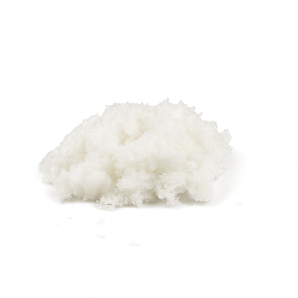 Gelová voda – hydrogel – krmivo pro mravence