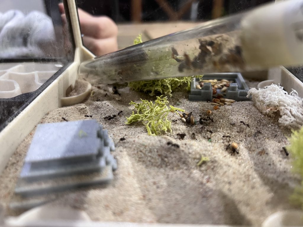 Obrázek #1 od Oriana