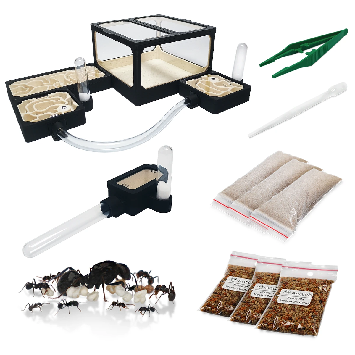 LARGE M ZESTAW Zestaw Formikarium dla Początkujących