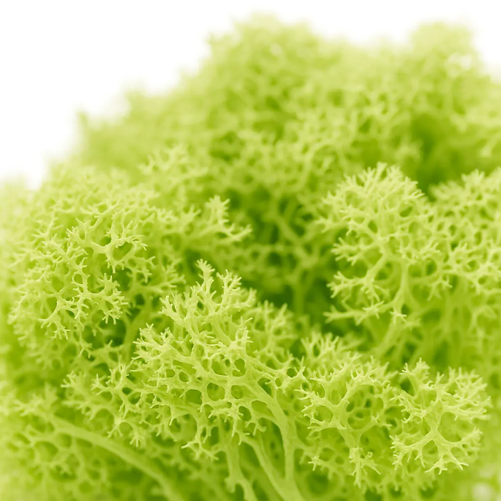 mosslightgreen_02 Mech Jasno Zielony Dekoracyjny