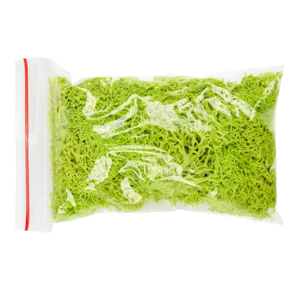 mosslightgreen_03 Mech Jasno Zielony Dekoracyjny