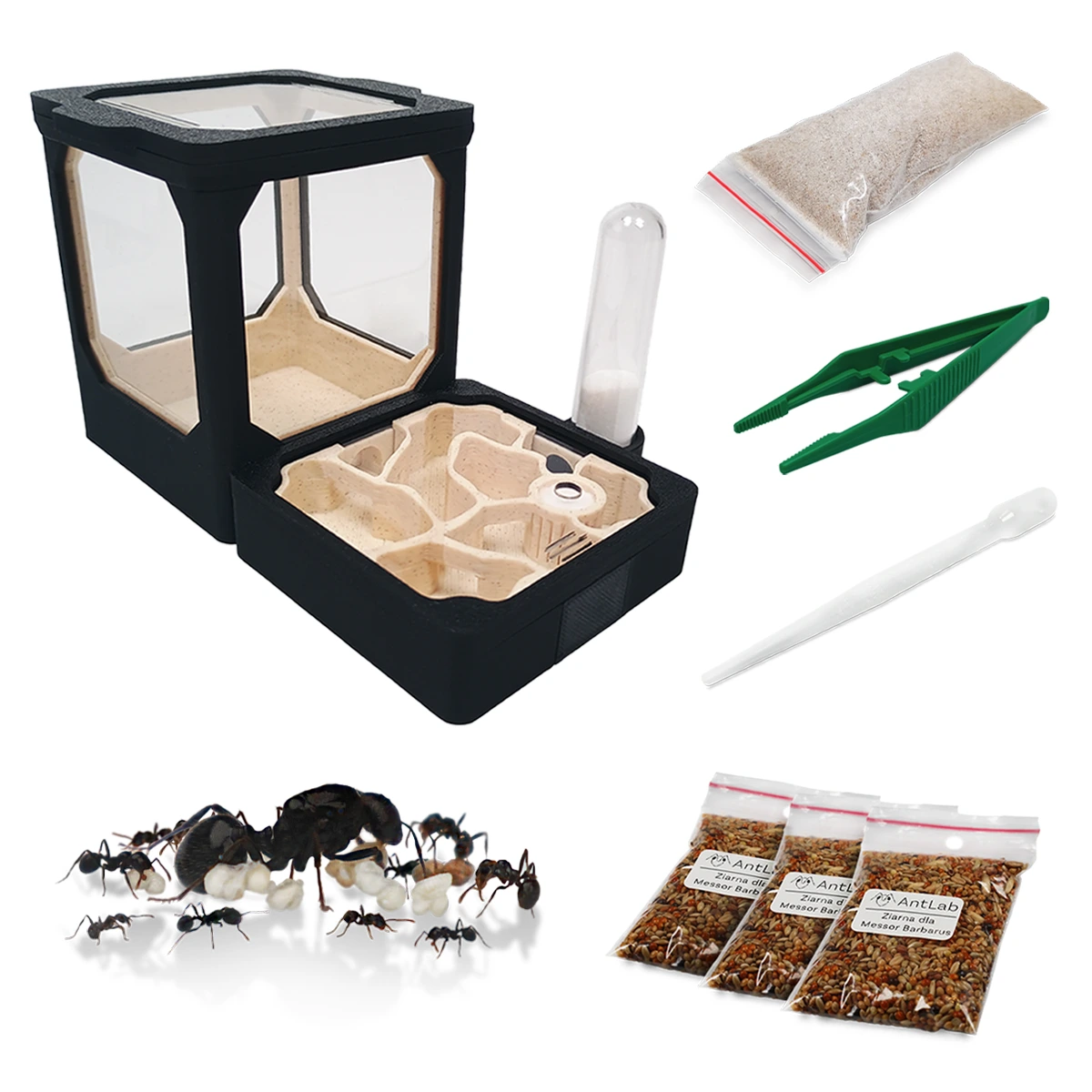 TINY S ZESTAW Zestaw Formikarium dla Początkujących