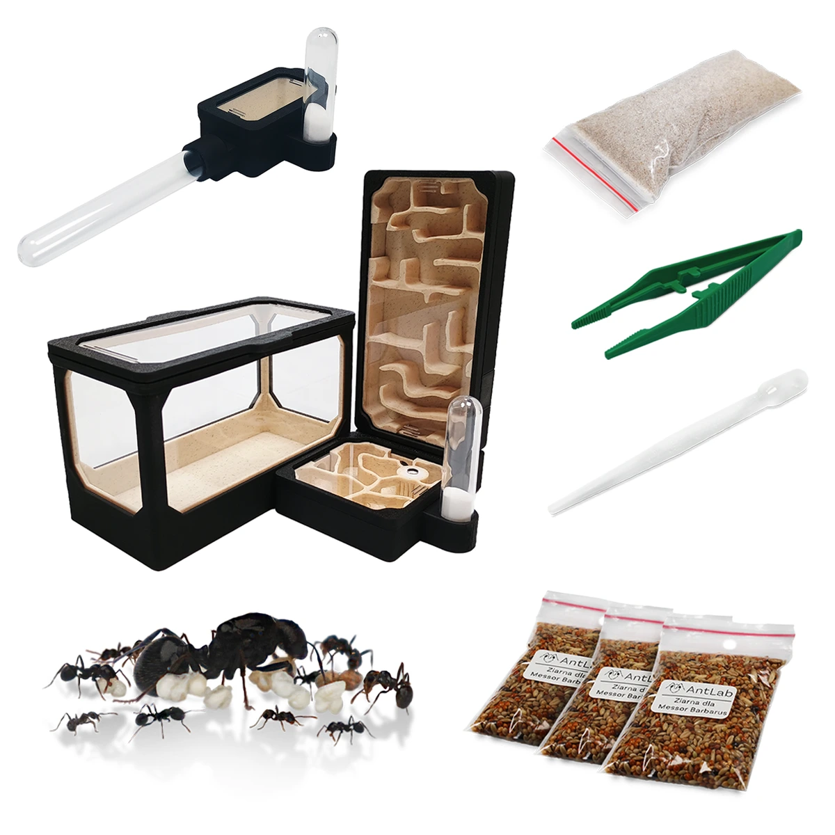 Zestaw Formikarium dla Początkujących