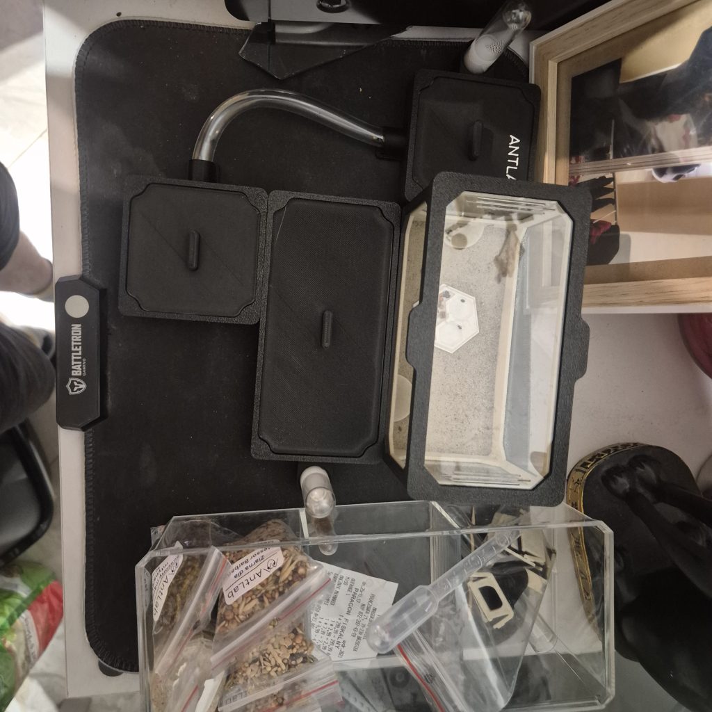 Image #1 de Oskar J.