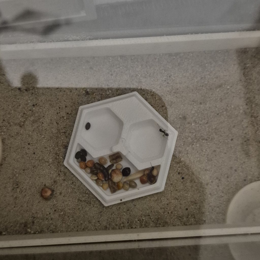 Image #1 de Oskar J.