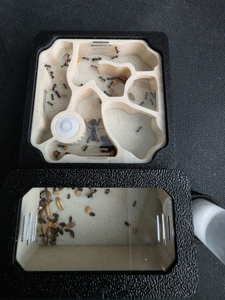 Image #1 de Daria Z.