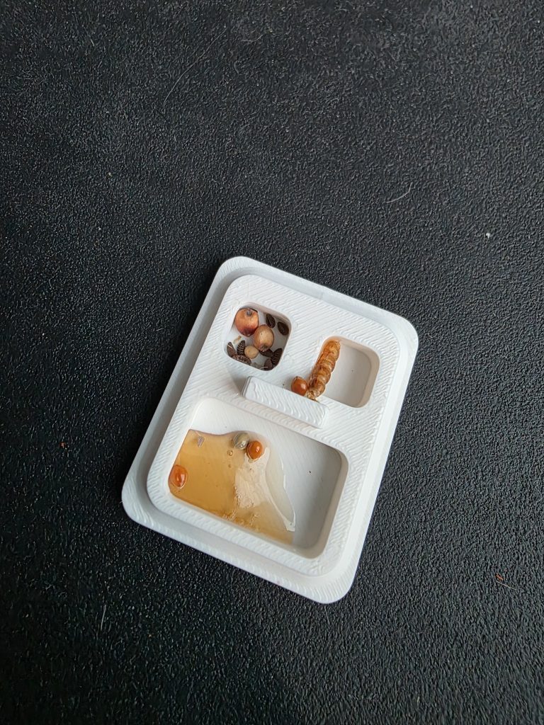 Image #1 de Daria Z.