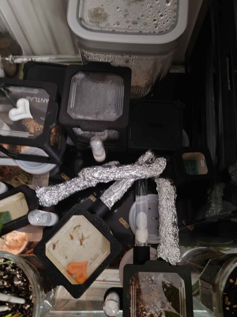 Obrázek #1 od Szymon