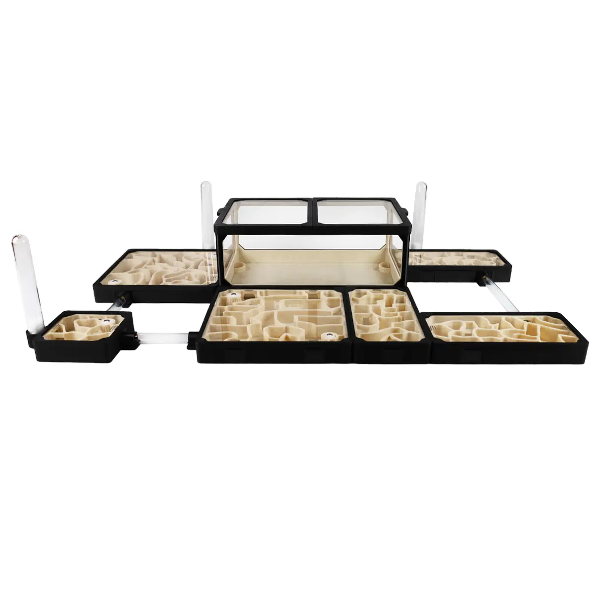 Formikarium dla Mrówek MEGA L