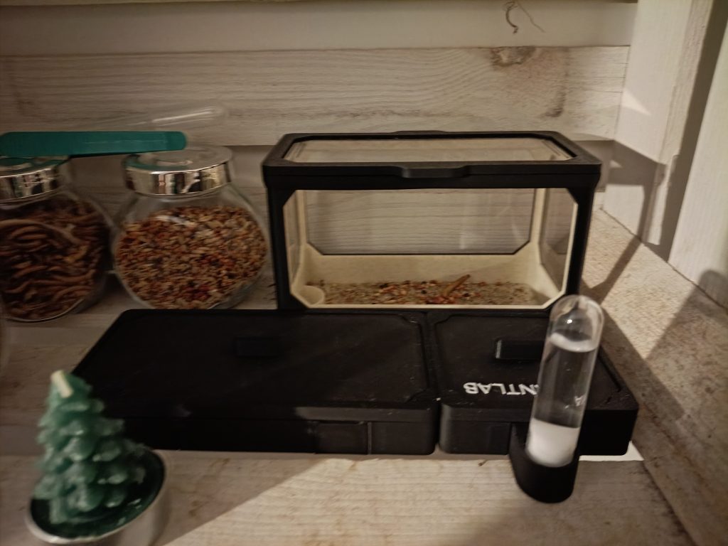 Image #1 de Wiktoria H.