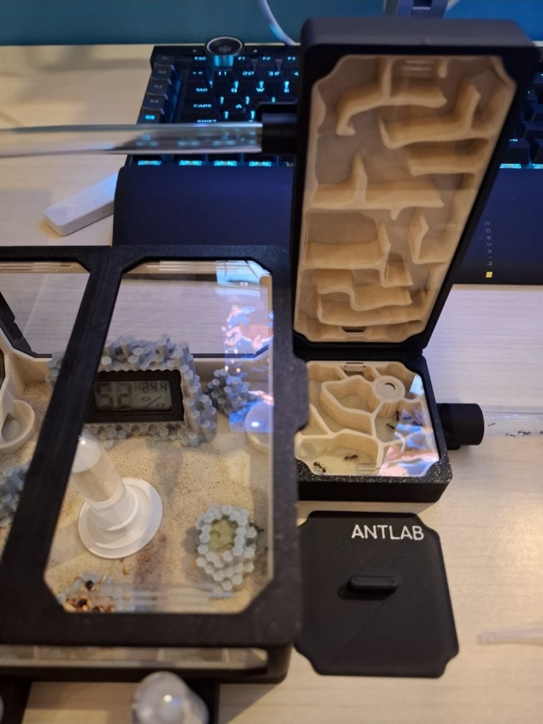 Obrázek #2 od Tomasz