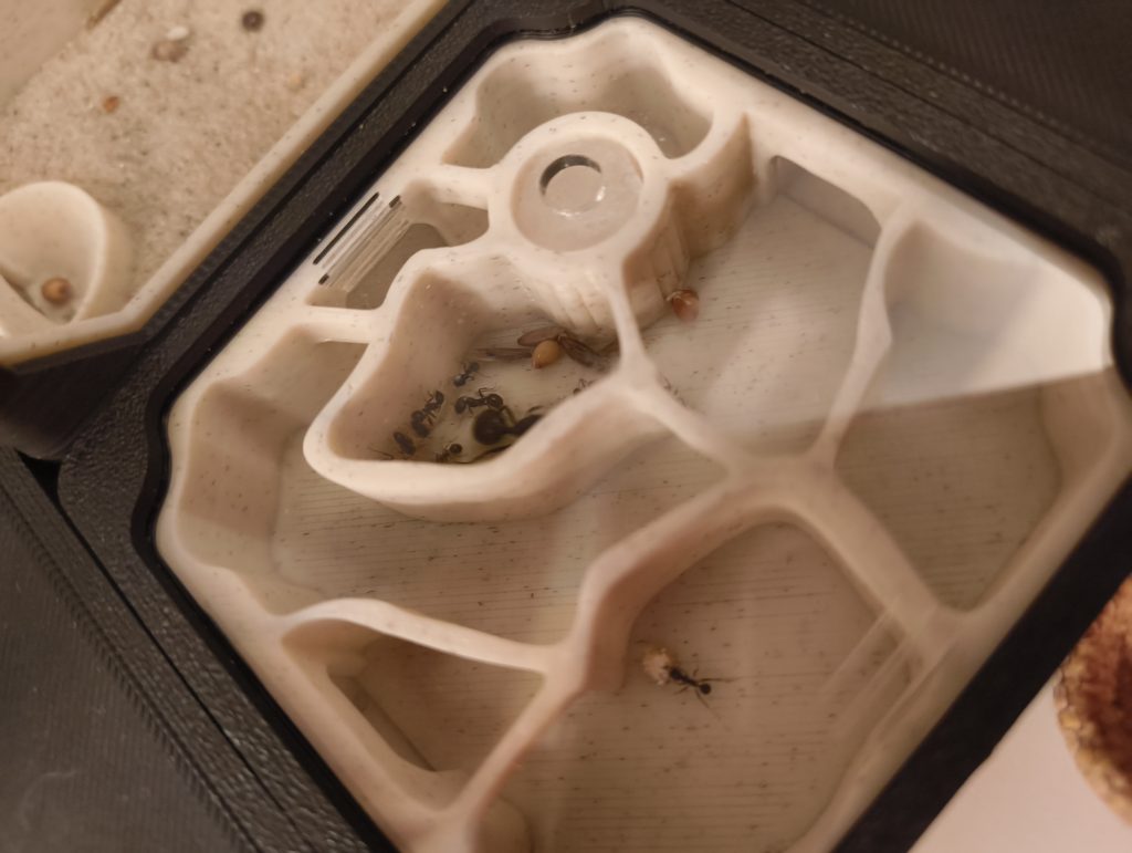 Obrázek #1 od Piotr Mastalerz