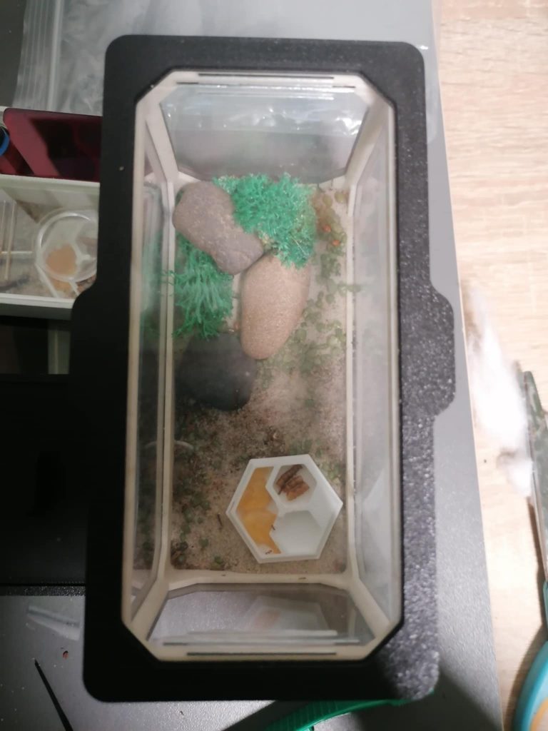 Obrazek #1 z Oktawian Janecki