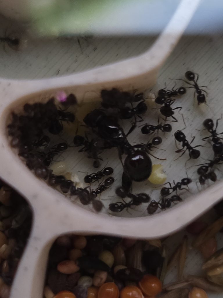 Image #1 de Krzysztof D.