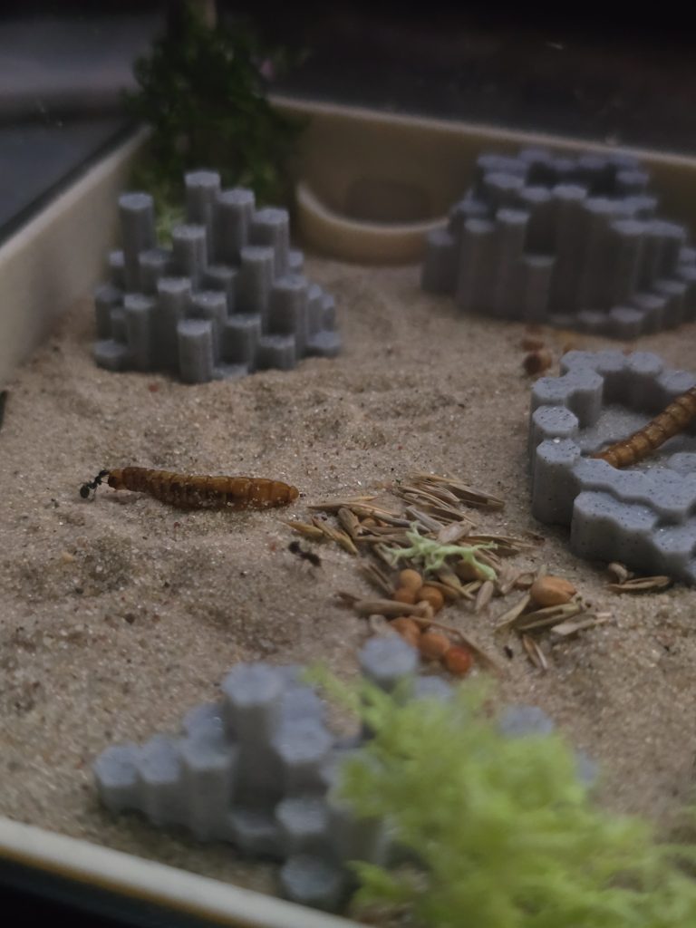 Obrázek #2 od Krzysztof D.