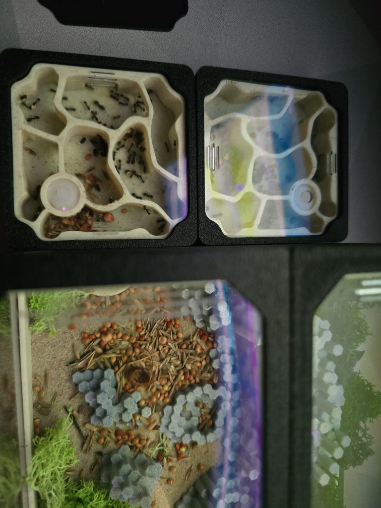 Image #3 de Krzysztof D.