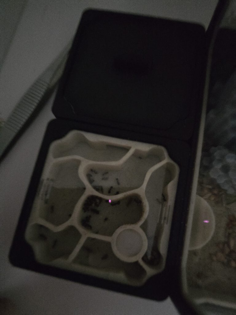 Image #2 de Krzysztof D.