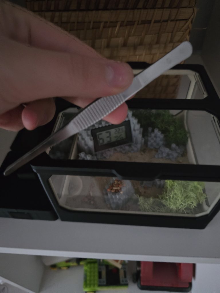 Obrázek #1 od Krzysztof D.