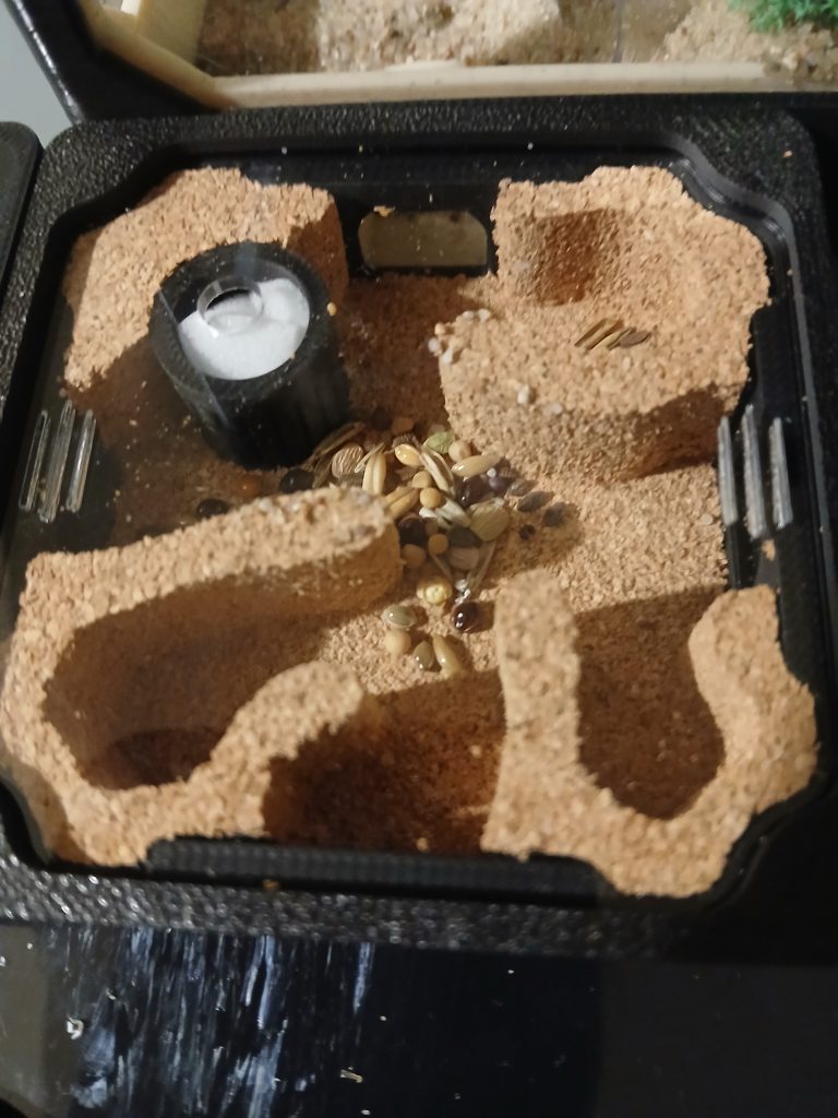 Image #1 de Tymon K.