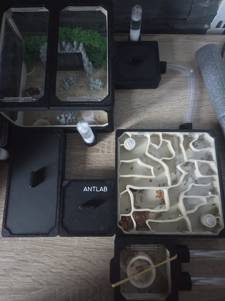 Image #1 de Rafał Skrzypczak