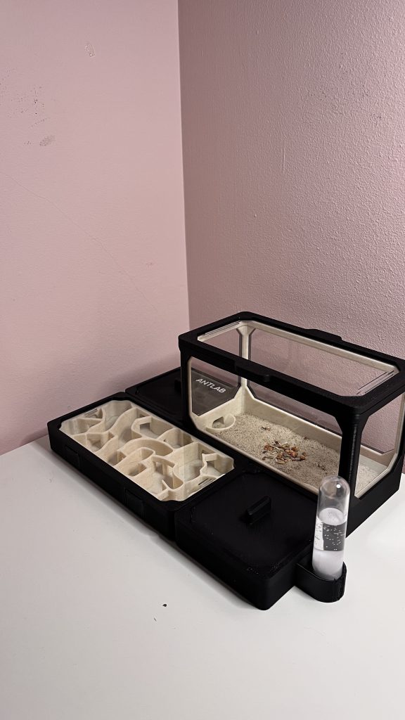 Image #2 de Jakub G.