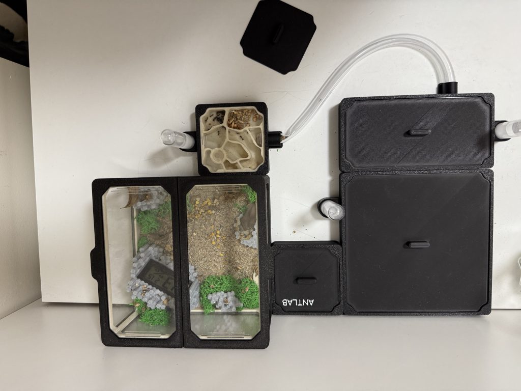 Image #1 de Oliwia R.