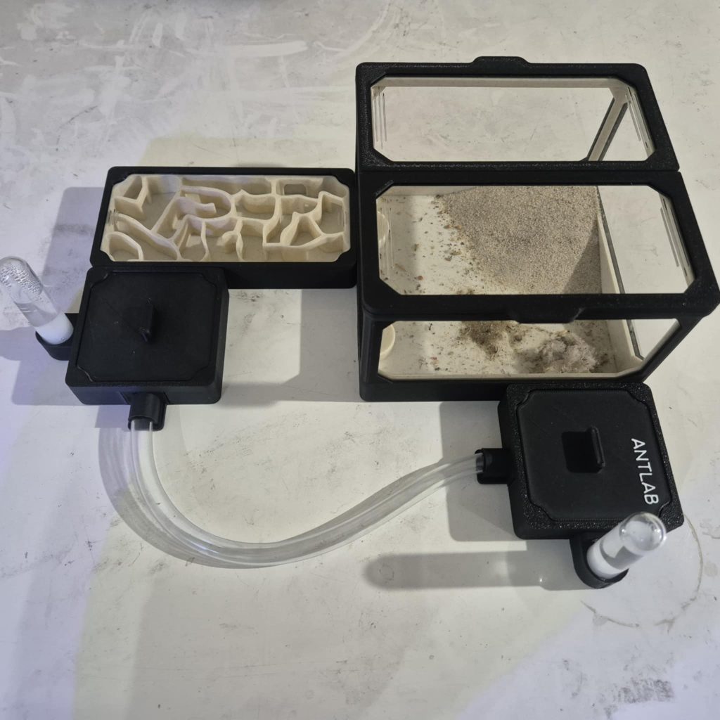 Image #1 de Mateusz Dziarski