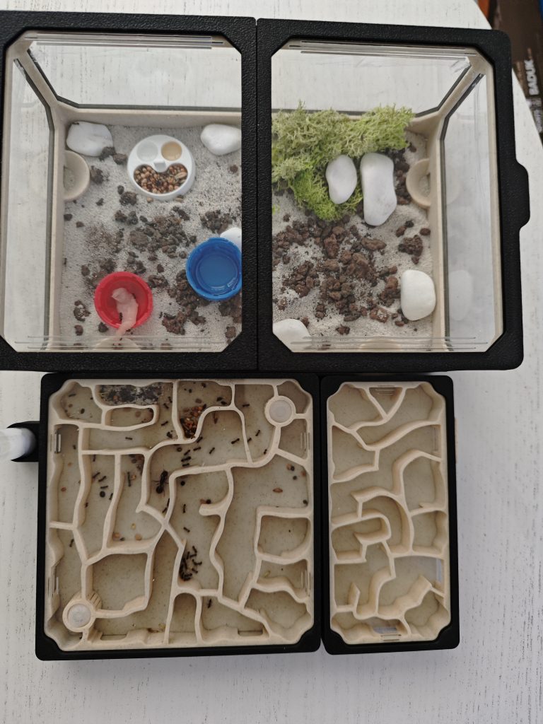 Image #1 de Sebastian P.