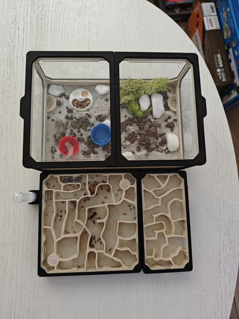 Image #1 de Sebastian P.