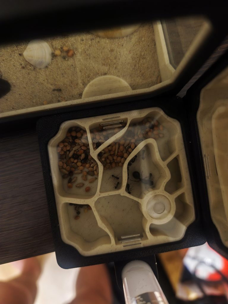 Obrázek #1 od Bartek L.