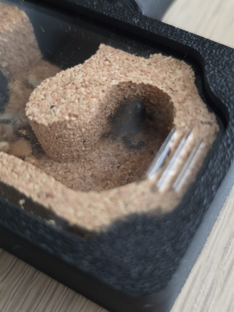 Image #1 de Krzysztof D.