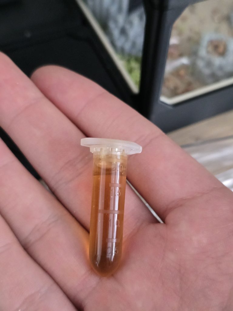 Image #1 de Krzysztof D.