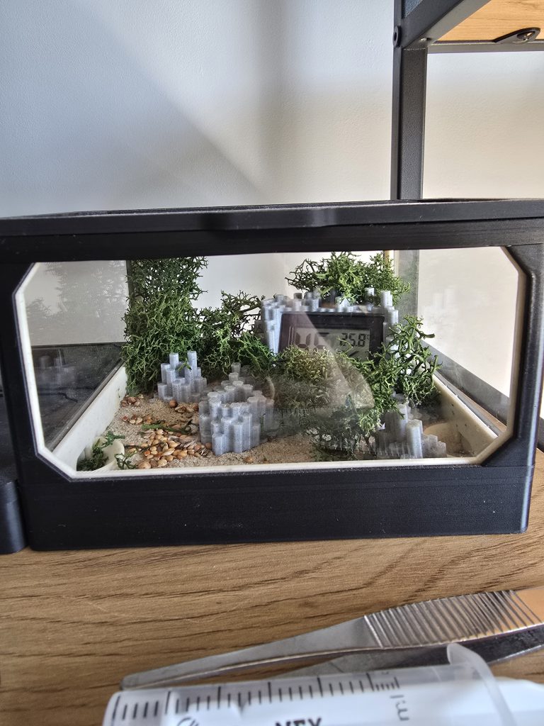 Obrázek #1 od Krzysztof D.