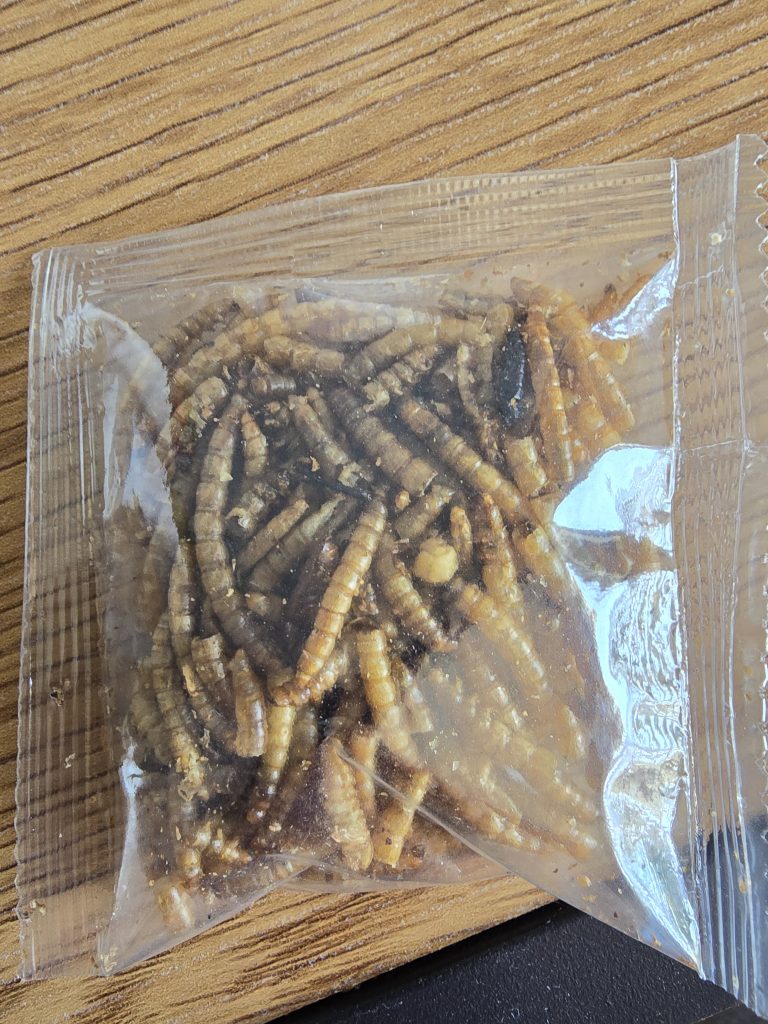 Image #1 de Krzysztof D.