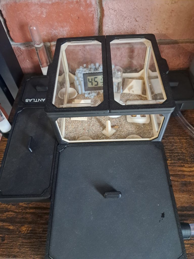 Obrázek #1 od Kamila