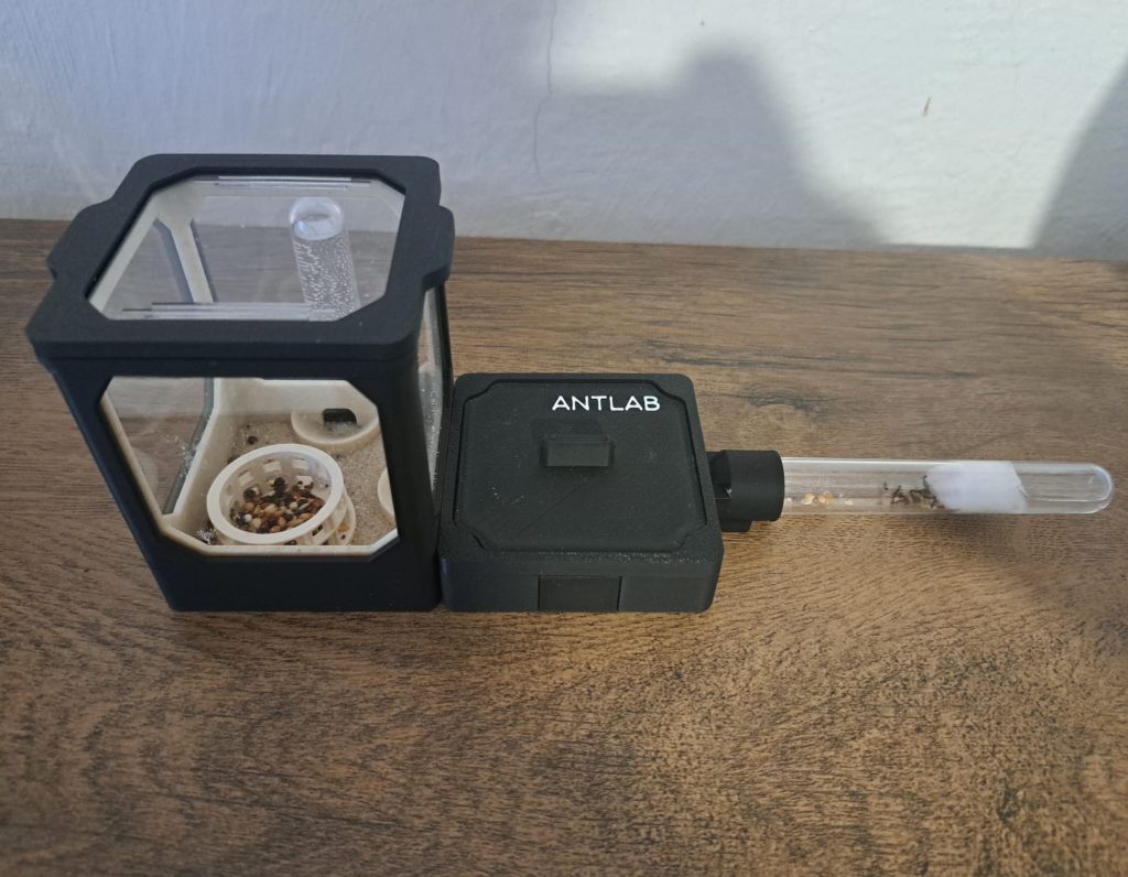 Image #1 de Bartosz K.