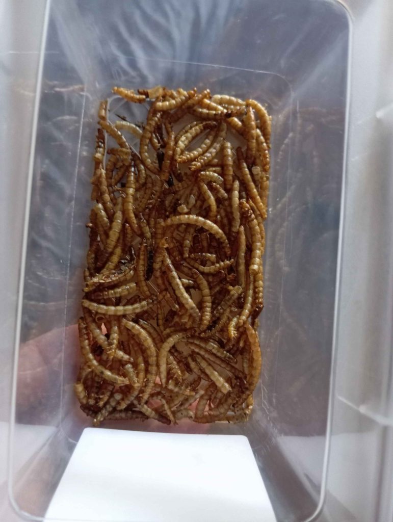 Image #1 de Piotr C.