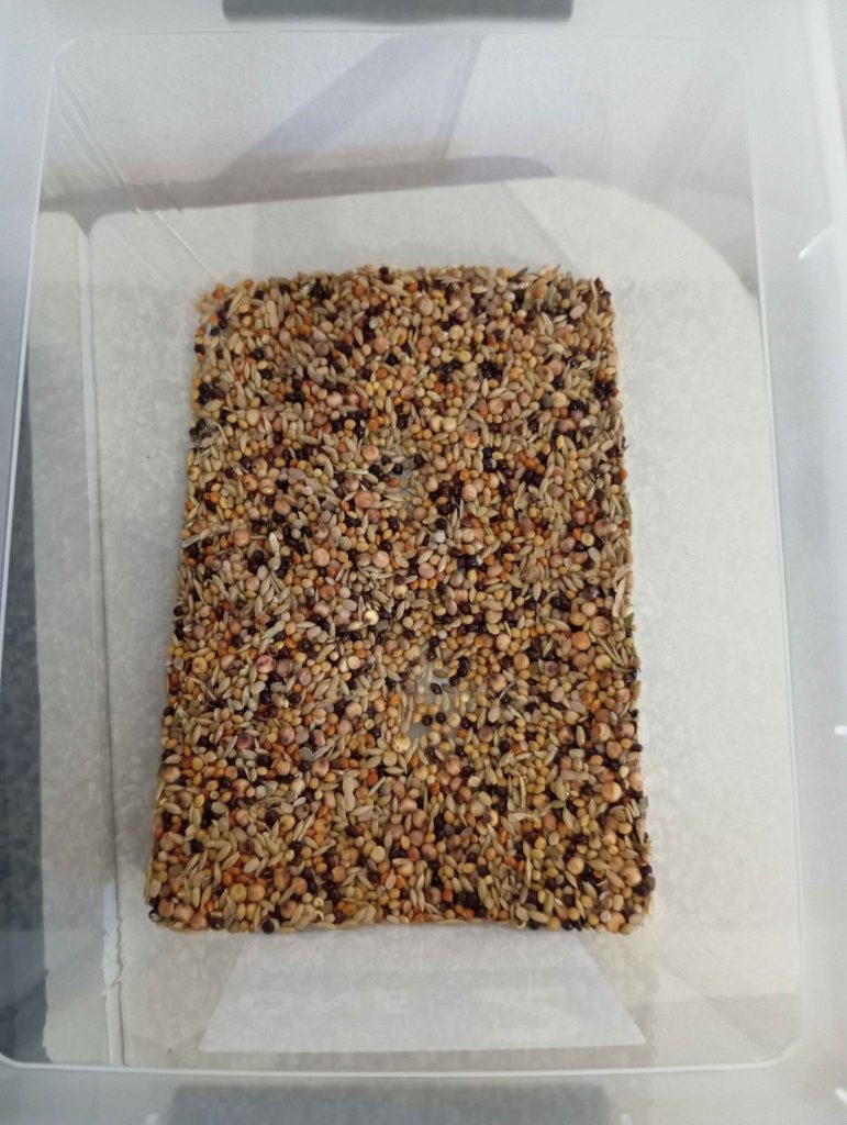 Image #1 de Piotr C.