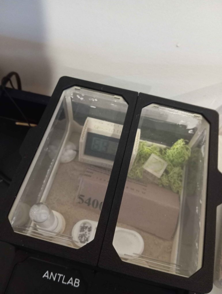 Obrázek #1 od Piotr C.